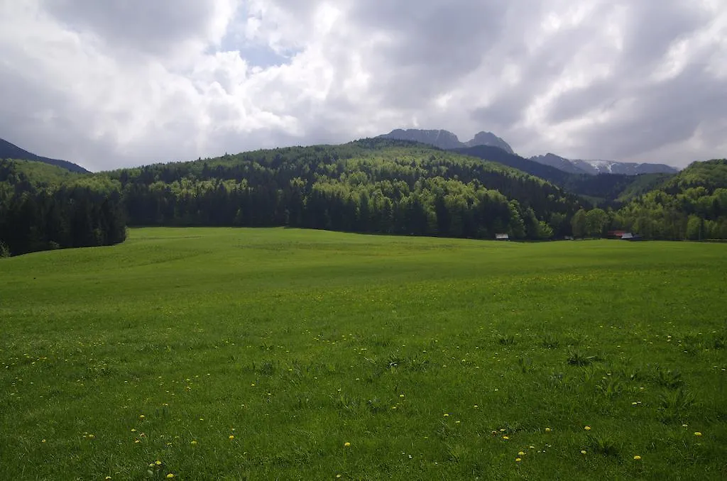 Pokoje Droga Do Daniela 9D Lejlighed Zakopane Polen
