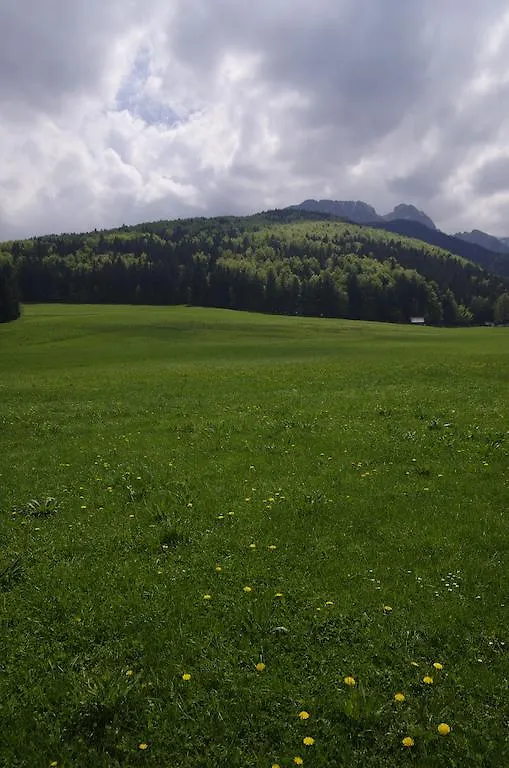 Pokoje Droga do Daniela 9D Apartament Zakopane Kwatera prywatna